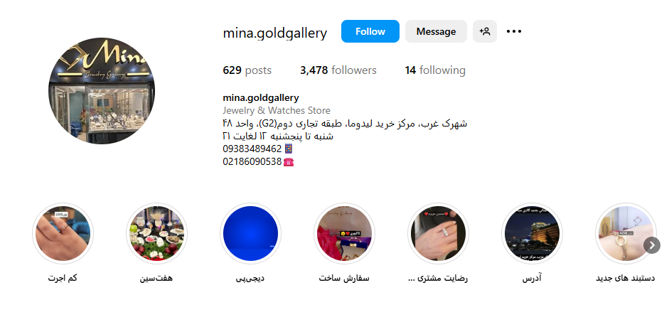 طلا و جواهری مینا